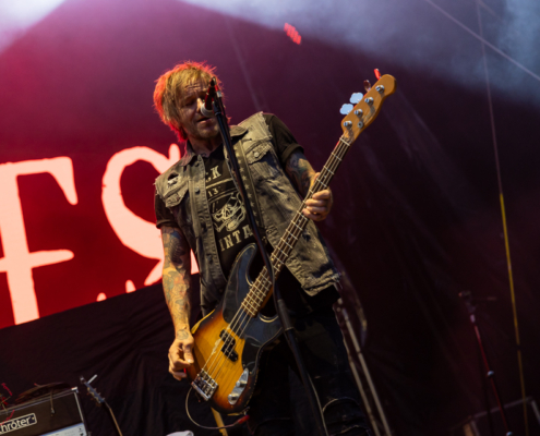 The New Roses-12