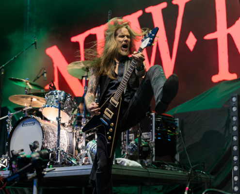 The New Roses-15