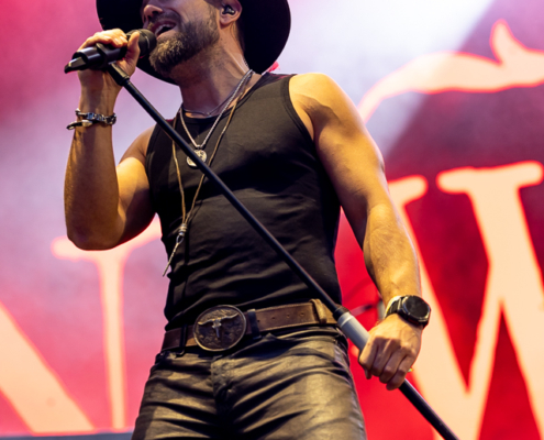 The New Roses-4